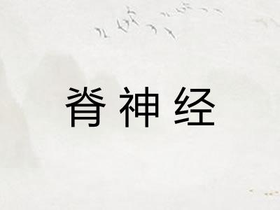 脊神经
