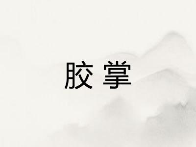 胶掌