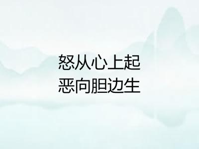 怒从心上起恶向胆边生