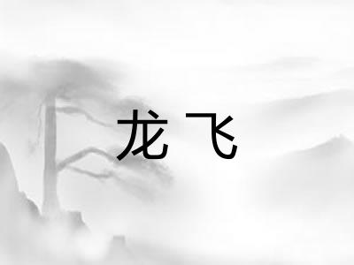 龙飞
