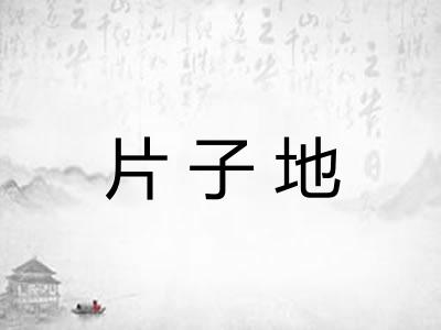 片子地