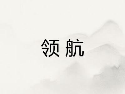 领航