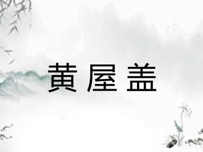 黄屋盖