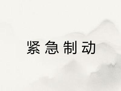 紧急制动