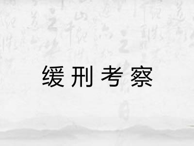 缓刑考察