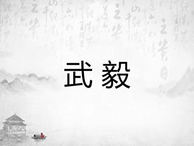 武毅
