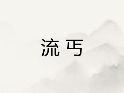 流丐