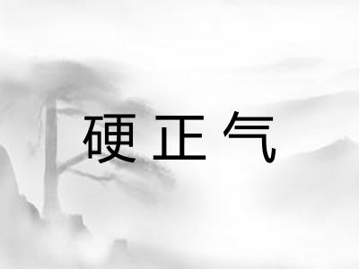 硬正气