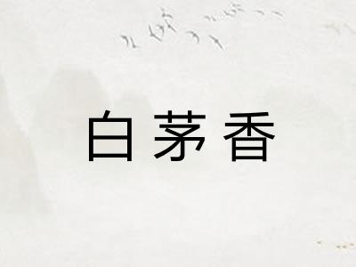 白茅香