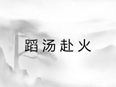 蹈汤赴火