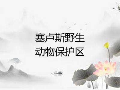 塞卢斯野生动物保护区