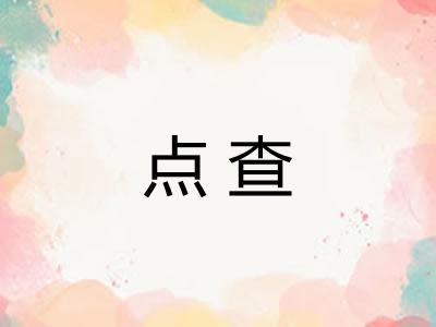 点查