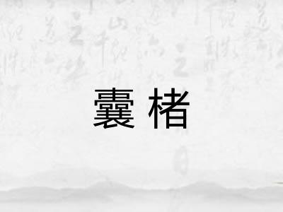 囊楮