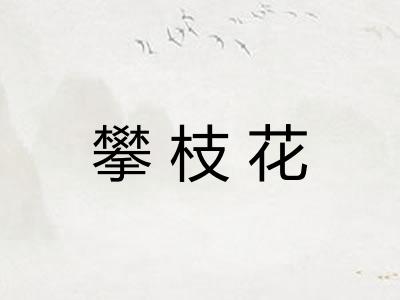 攀枝花