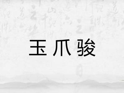 玉爪骏