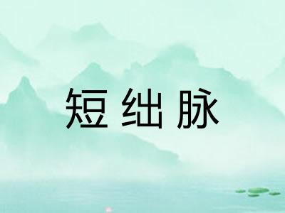 短绌脉