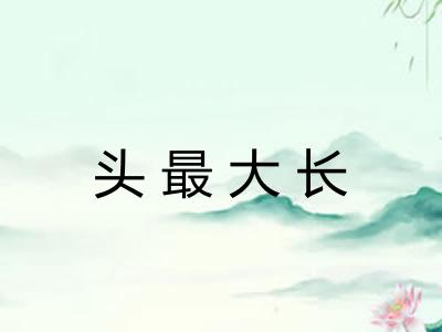 头最大长