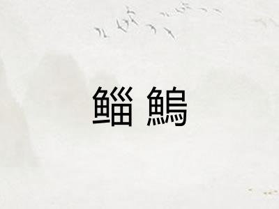 鲻鰞