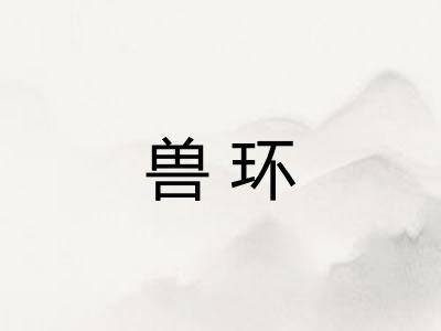 兽环