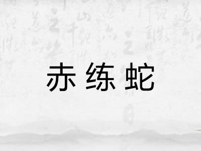 赤练蛇