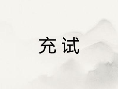 充试