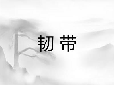 韧带