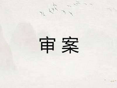 审案