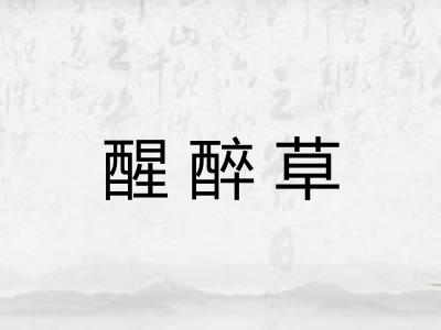 醒醉草