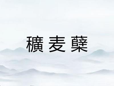 穬麦蘖