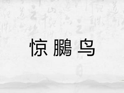 惊鵩鸟
