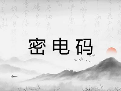 密电码