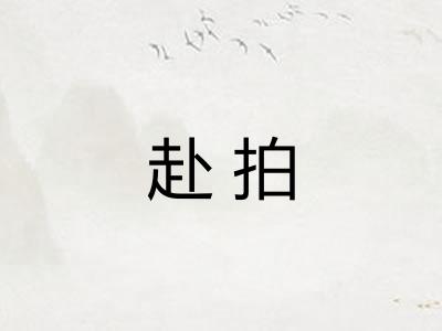 赴拍