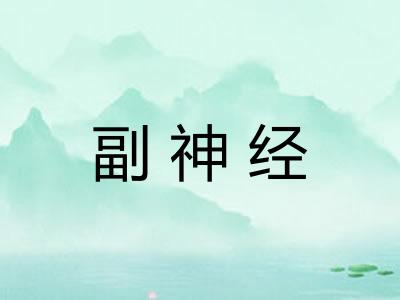 副神经