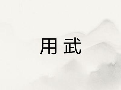用武