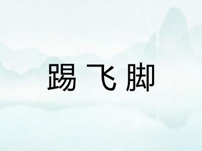 踢飞脚