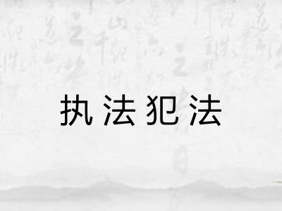 执法犯法