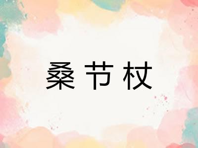 桑节杖