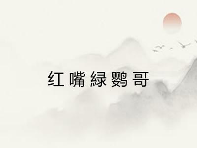 红嘴緑鹦哥