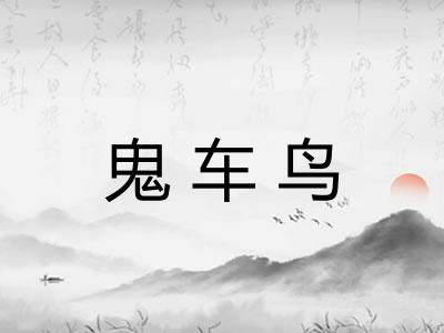 鬼车鸟