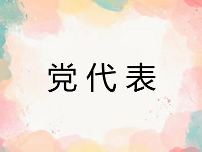 党代表