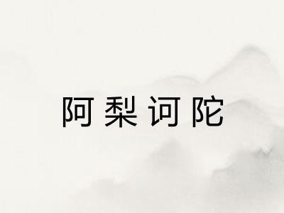 阿梨诃陀