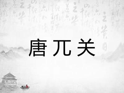 唐兀关
