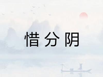 惜分阴