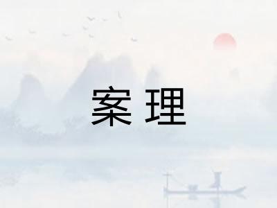 案理