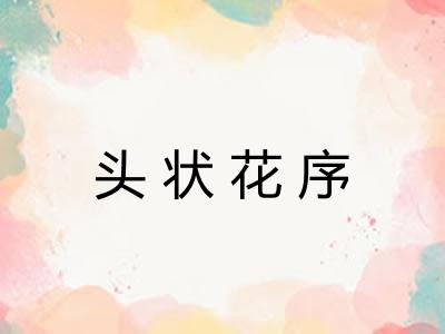 头状花序