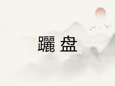 躧盘
