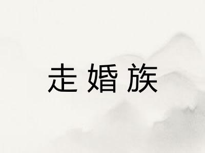 走婚族