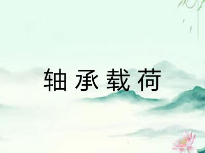 轴承载荷