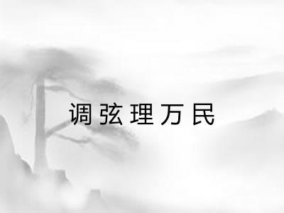 调弦理万民