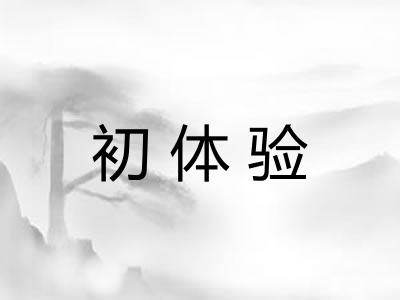 初体验